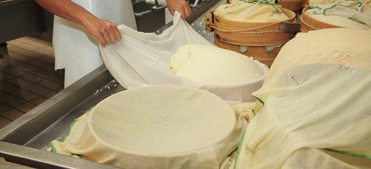 AlcoFermBrew Filtro Per Formaggio In Polietilene 19,5x30cm (2 Pezzi) - Riutilizzabile, Per Produzione Casalinga Di Formaggi Fino A 2kg